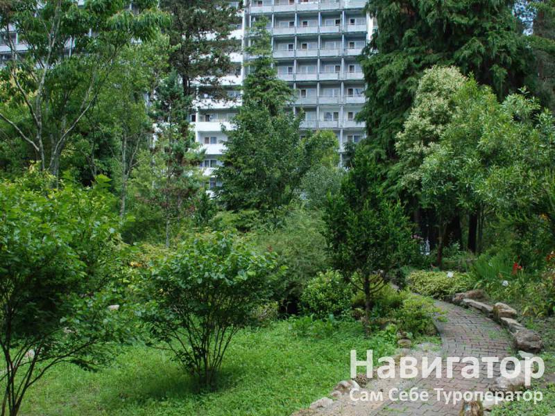 БЕЛЫЕ НОЧИ – санаторий в Курортные поселки Лазаревского района БЕЛЫЕ НОЧИ – санаторий в Курортные поселки Лазаревского района