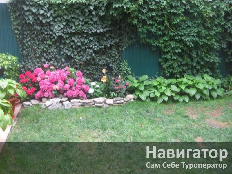 ЛЮБОВЬ - гостевой дом в Геленджик центр ЛЮБОВЬ - гостевой дом в Геленджик центр