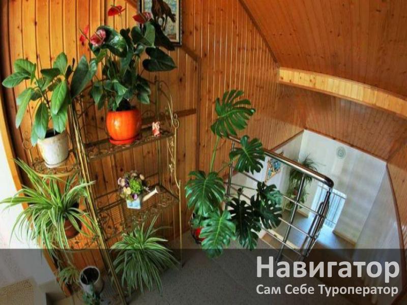 УДАЧА - мини-гостиница в Геленджик центр УДАЧА - мини-гостиница в Геленджик центр