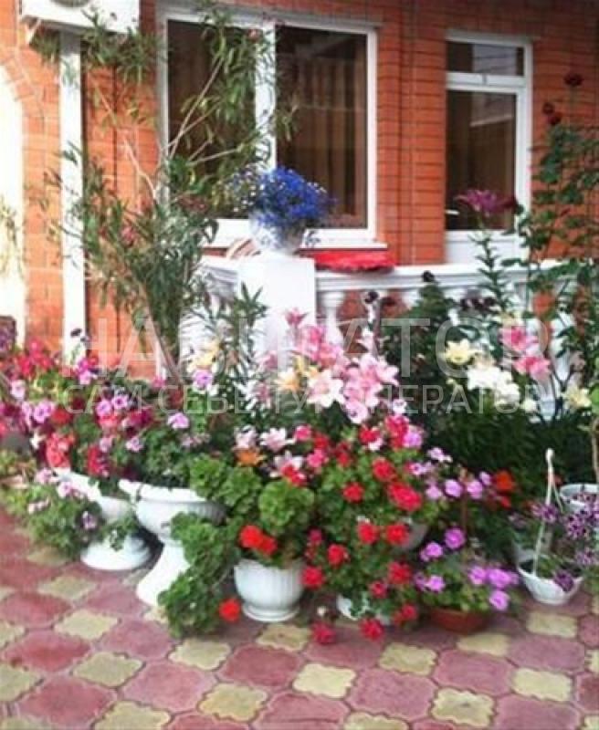 3421 - гостиница в Дивноморское 3421 - гостиница в Дивноморское