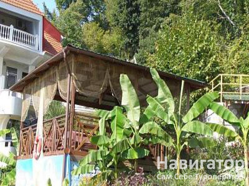 РУСАЛОЧКА - отель в Хоста РУСАЛОЧКА - отель в Хоста