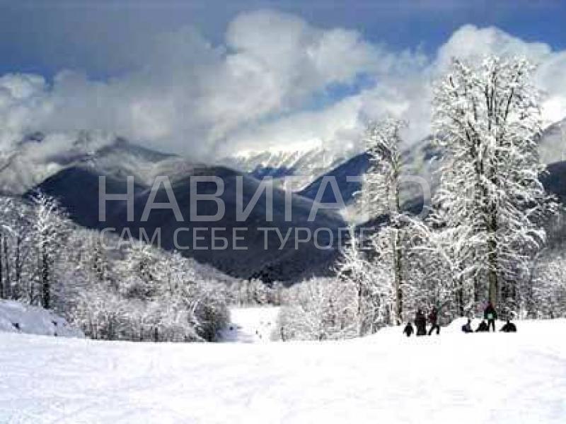 368 - гостевой дом в Красная поляна 368 - гостевой дом в Красная поляна