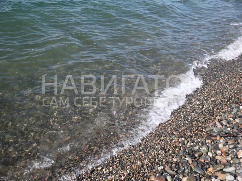 ЭВКАЛИПТОВАЯ РОЩА - пансионат в Очамчира ЭВКАЛИПТОВАЯ РОЩА - пансионат в Очамчира
