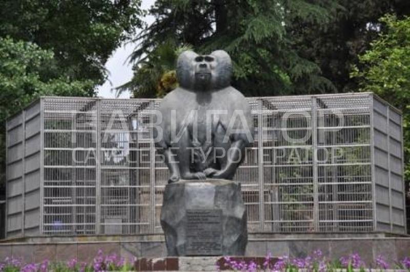 ПАНОРАМА - гостевой дом в Гагра ПАНОРАМА - гостевой дом в Гагра