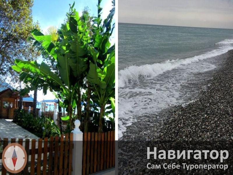 СТАРЫЕ ГАГРЫ - мини-гостиница в Курортные поселки Абхазии