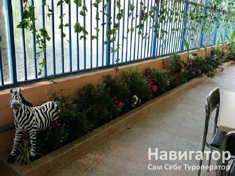 РАДУГА - гостиница в Курортные поселки Лазаревского района РАДУГА - гостиница в Курортные поселки Лазаревского района