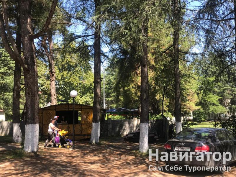 МАЯНА - гостевой дом в Пицунда МАЯНА - гостевой дом в Пицунда