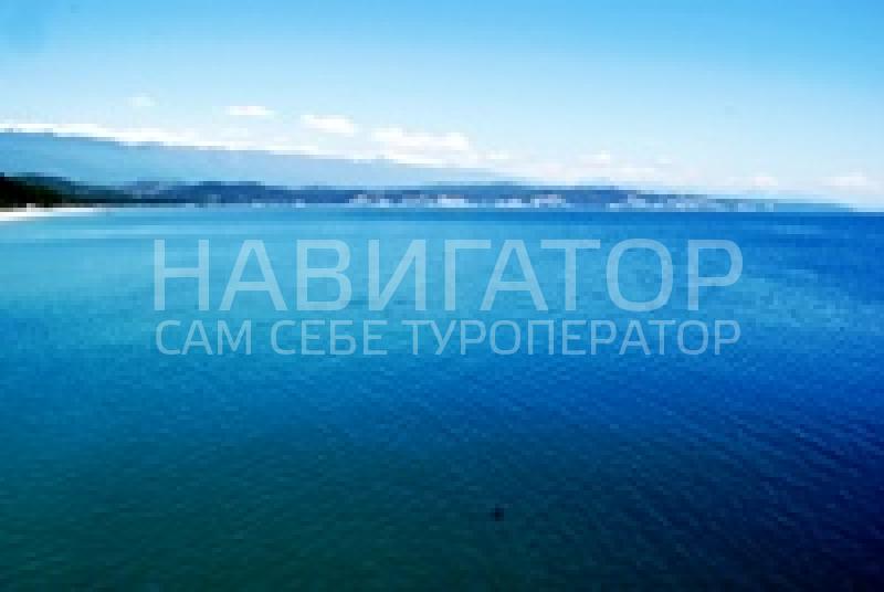 АПАРТАМЕНТЫ у Вальтера в Пицунда АПАРТАМЕНТЫ у Вальтера в Пицунда