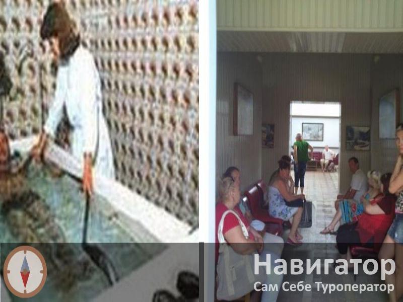 АНЖЕЛА - гостевой дом в Гагра АНЖЕЛА - гостевой дом в Гагра