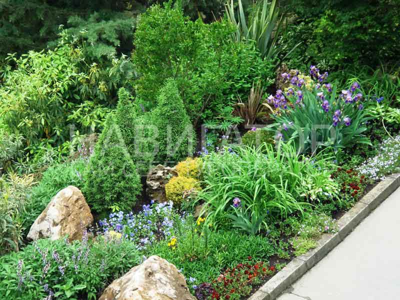 ИВУШКА - пансионат в Курортные поселки Лазаревского района