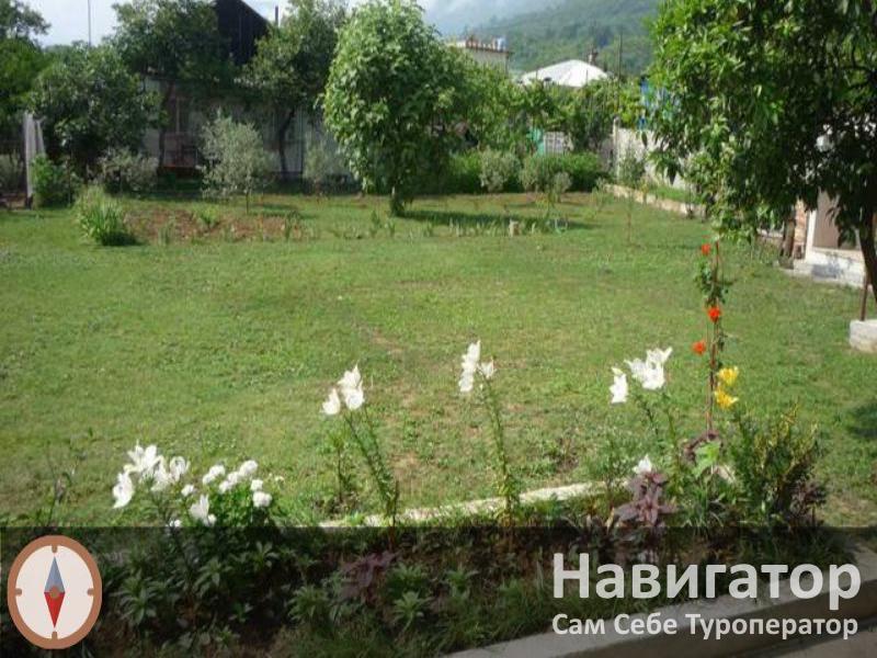 ЗАИР - гостевой дом в Гагра ЗАИР - гостевой дом в Гагра
