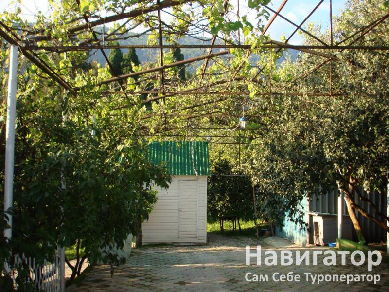 АЛЕКСАНДР - гостевой дом в Новый Афон АЛЕКСАНДР - гостевой дом в Новый Афон