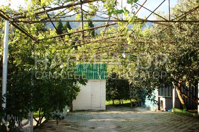 АЛЕКСАНДР - гостевой дом в Новый Афон АЛЕКСАНДР - гостевой дом в Новый Афон