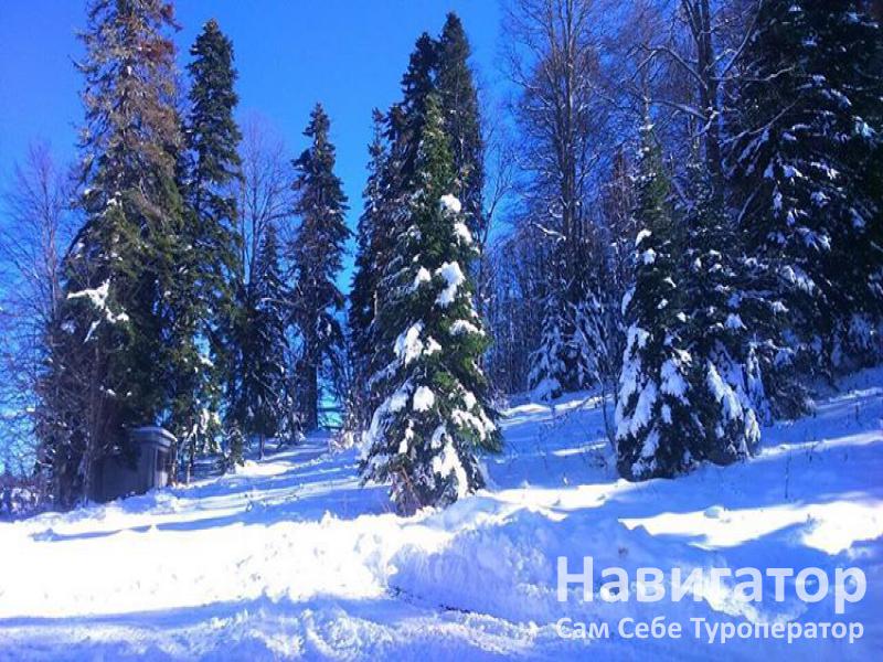 СНЕЖНЫЕ ВЕРШИНЫ - база отдыха в Автодорога Даховская - Лаго-Наки