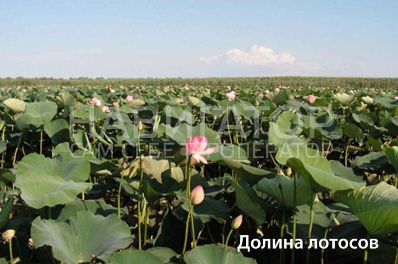 У МОРЯ - гостевой дом в Пересыпь У МОРЯ - гостевой дом в Пересыпь