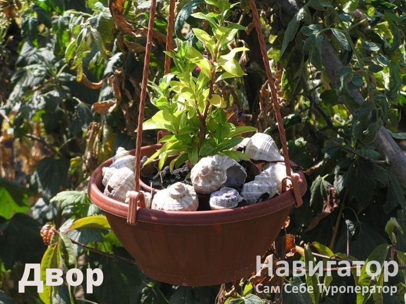 ПОДСОЛНУХ - гостевой дом в Курортные поселки Темрюка ПОДСОЛНУХ - гостевой дом в Курортные поселки Темрюка