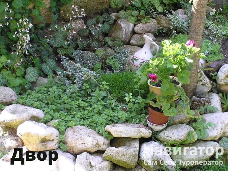 ПОДСОЛНУХ - гостевой дом в Курортные поселки Темрюка ПОДСОЛНУХ - гостевой дом в Курортные поселки Темрюка