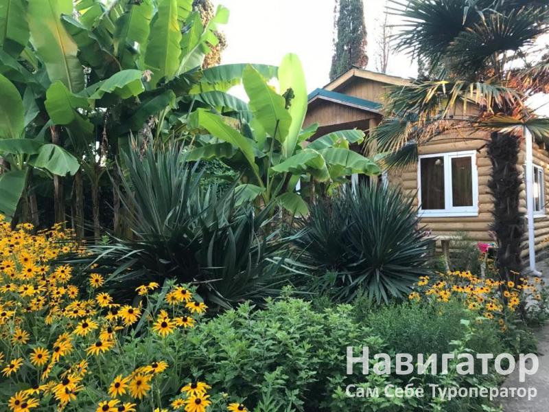 БЕЛОЕ СОЛНЦЕ ПУСТЫНИ - гостевой дом в Пицунда БЕЛОЕ СОЛНЦЕ ПУСТЫНИ - гостевой дом в Пицунда