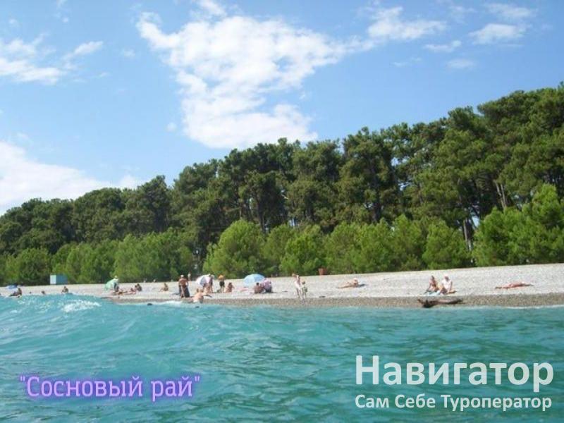 СОСНОВЫЙ РАЙ - гостиница в Пицунда СОСНОВЫЙ РАЙ - гостиница в Пицунда