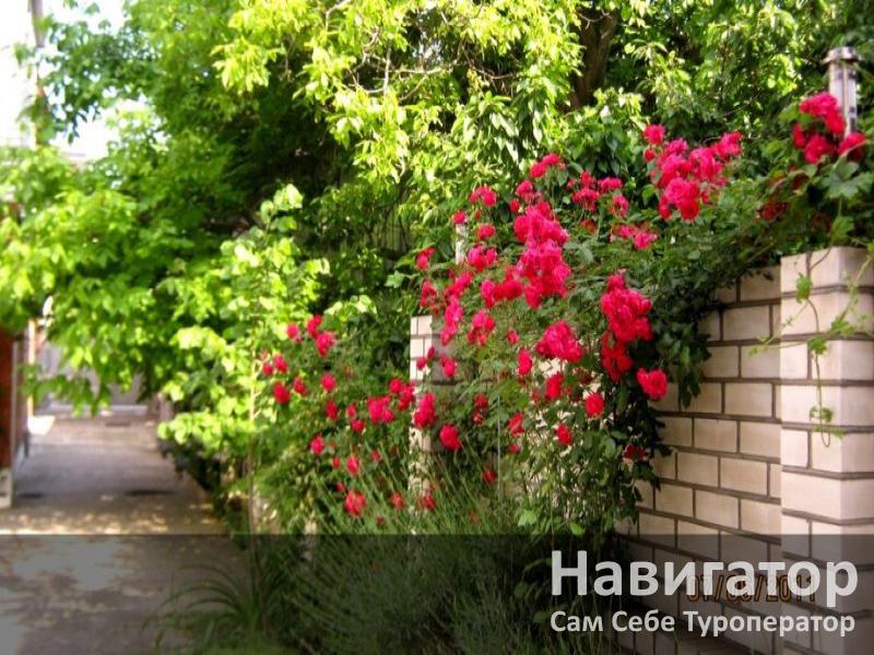 KHRIS - мини-гостиница в Геленджик центр KHRIS - мини-гостиница в Геленджик центр