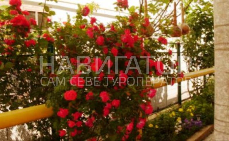 ЛАРИСА - гостевой дом в Витязево ЛАРИСА - гостевой дом в Витязево
