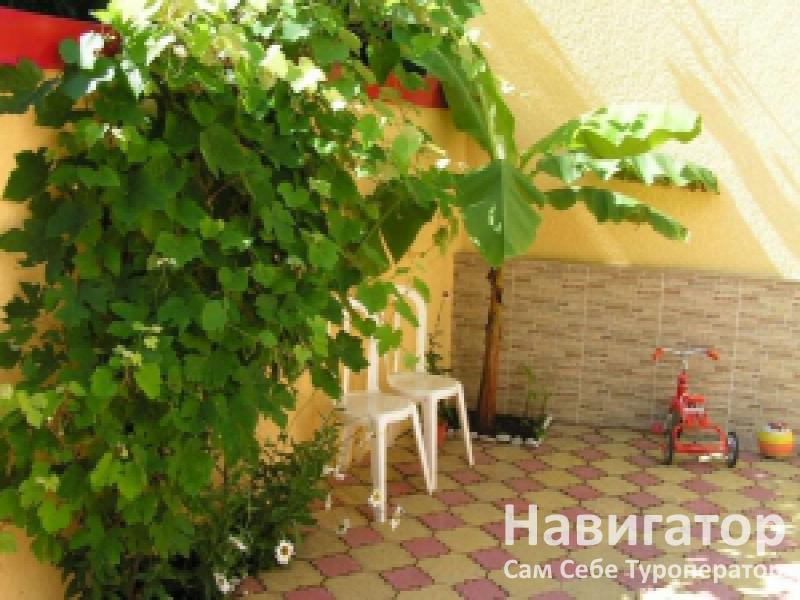ЛАУРА - гостевой дом в Курортные поселки Лазаревского района ЛАУРА - гостевой дом в Курортные поселки Лазаревского района