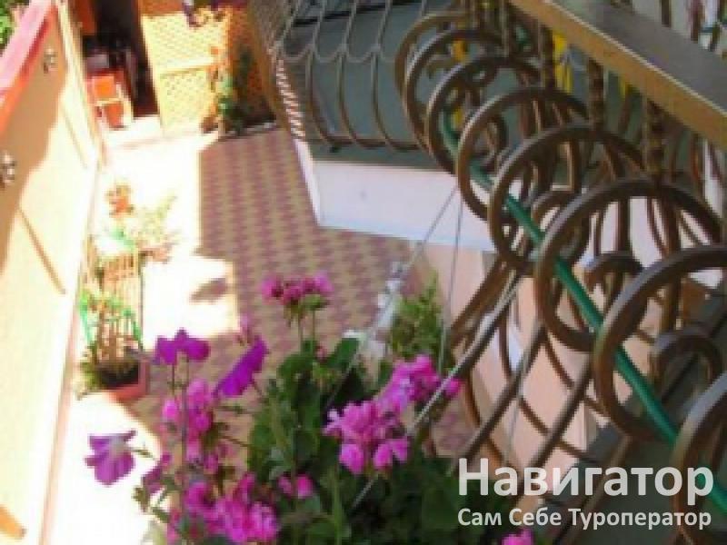 ЛАУРА - гостевой дом в Курортные поселки Лазаревского района ЛАУРА - гостевой дом в Курортные поселки Лазаревского района