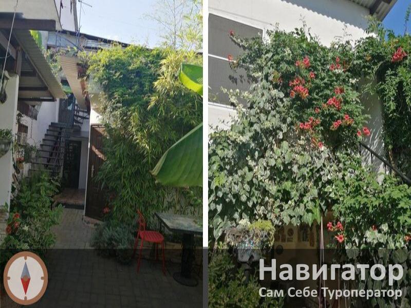 МАГНОЛИЯ - гостиница в Сухум МАГНОЛИЯ - гостиница в Сухум