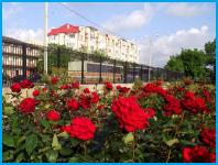 АВИТА - гостиница в Анапа