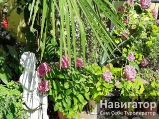 РАФАЭЛЬ - гостевой дом в Адлер