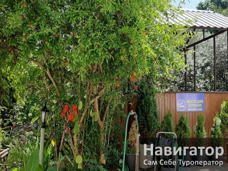 РАФАЭЛЬ - гостевой дом в Адлер