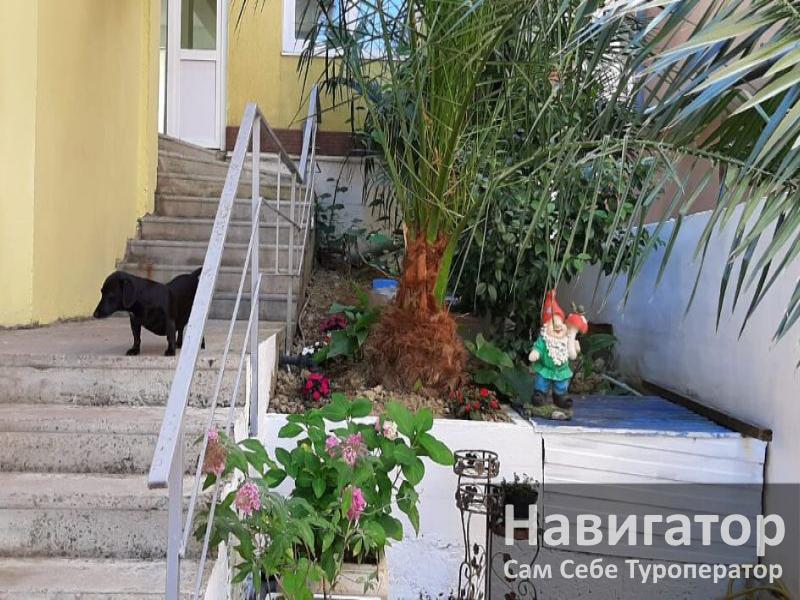 РАФАЭЛЬ - гостевой дом в Адлер