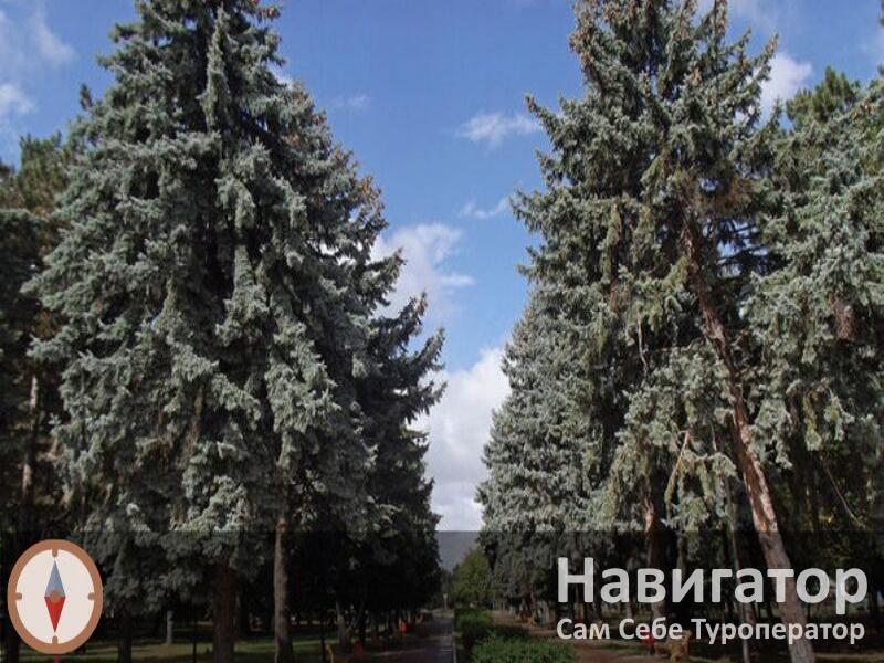 ЭЛЬБРУС - санаторий в Нальчик ЭЛЬБРУС - санаторий в Нальчик