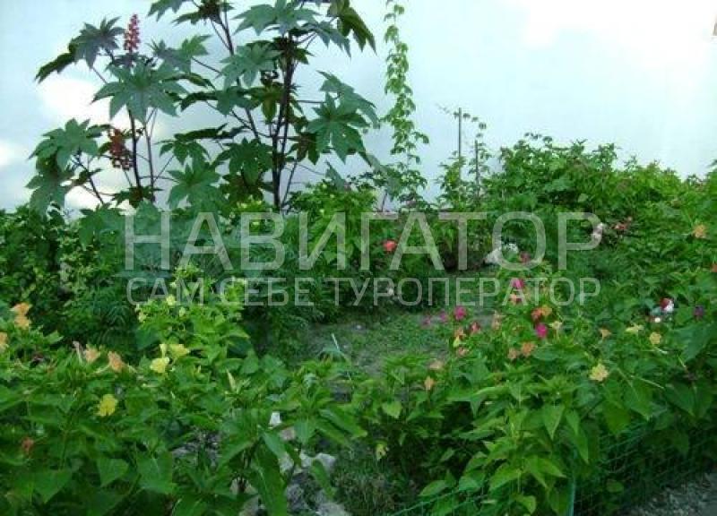 5274 - гостевой дом в Анапа
