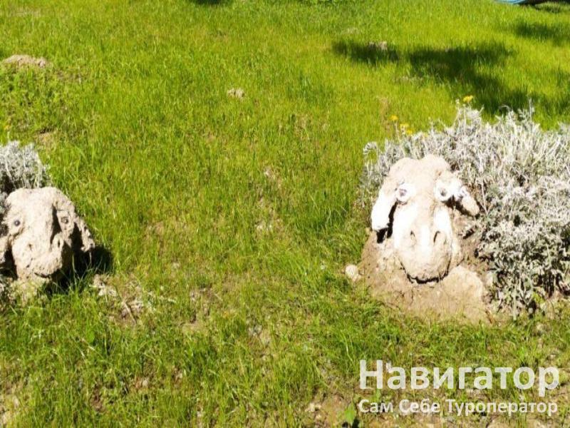ОЗЕРЕЕВКА- база отдыха в Южная Озереевка пос. ОЗЕРЕЕВКА- база отдыха в Южная Озереевка пос.