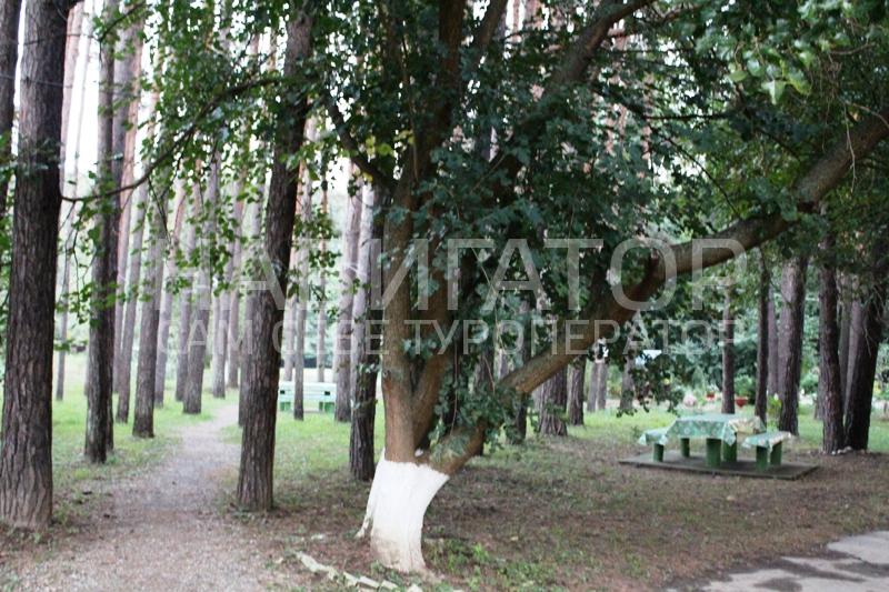 КОРДОН- база отдыха в Мостовской район