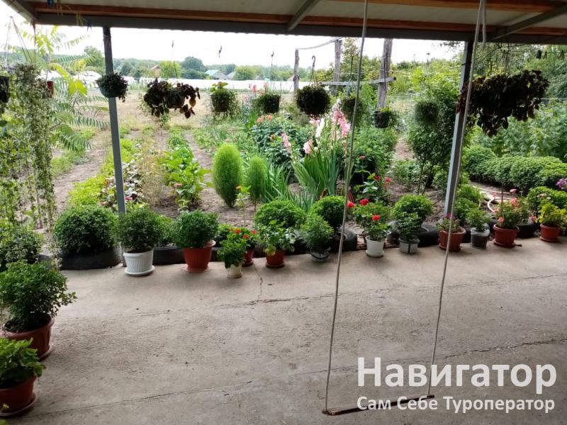 НАТАЛЬЯ - гостевой дом в Хутор Кубанский