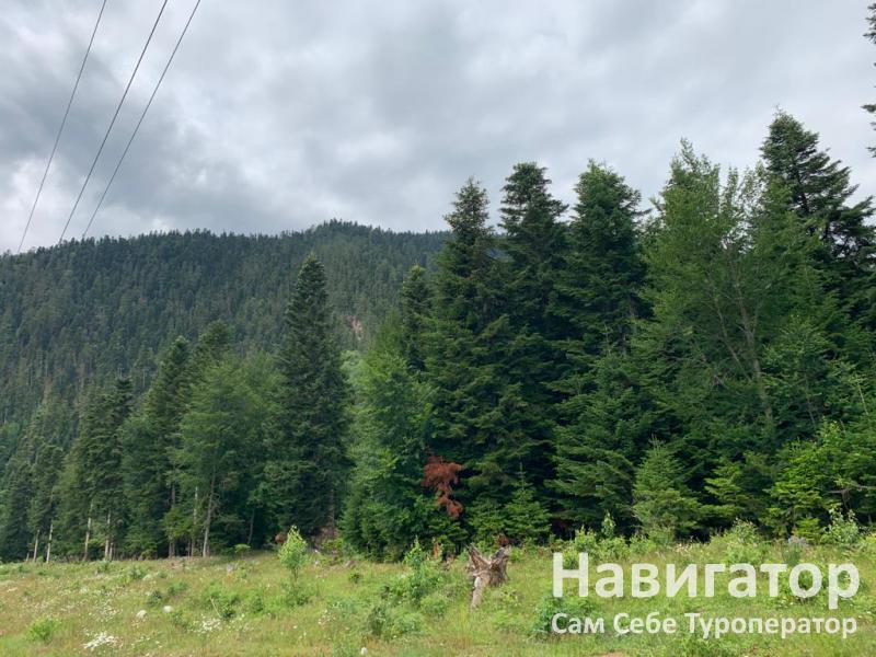 УНИСОН-турбаза в Архыз УНИСОН-турбаза в Архыз