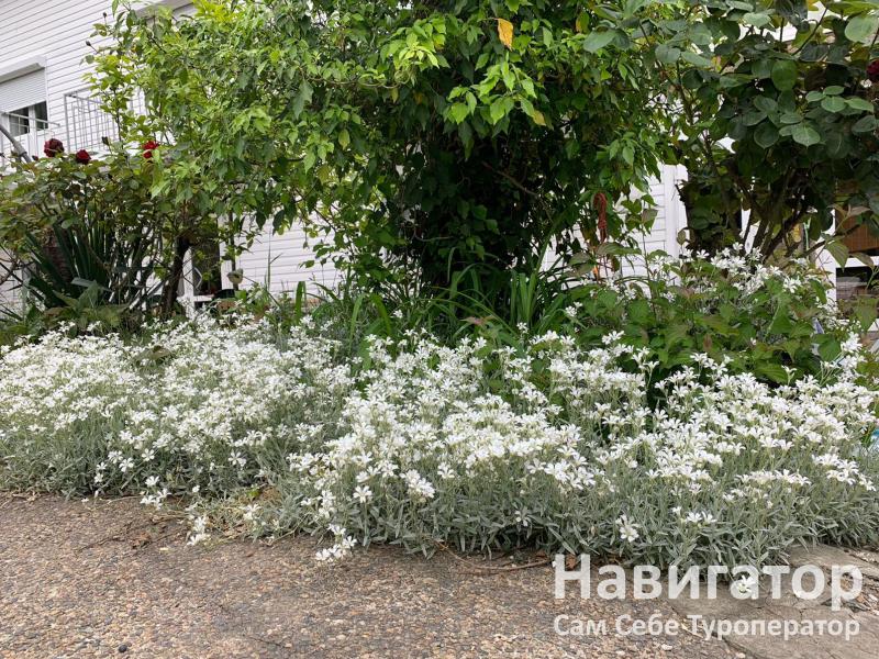 СВОБОДА - гостиница в Курортные поселки Лазаревского района СВОБОДА - гостиница в Курортные поселки Лазаревского района