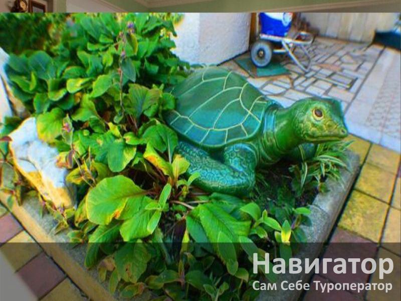 СВЕТЛАНА - гостевой дом в Адлер СВЕТЛАНА - гостевой дом в Адлер