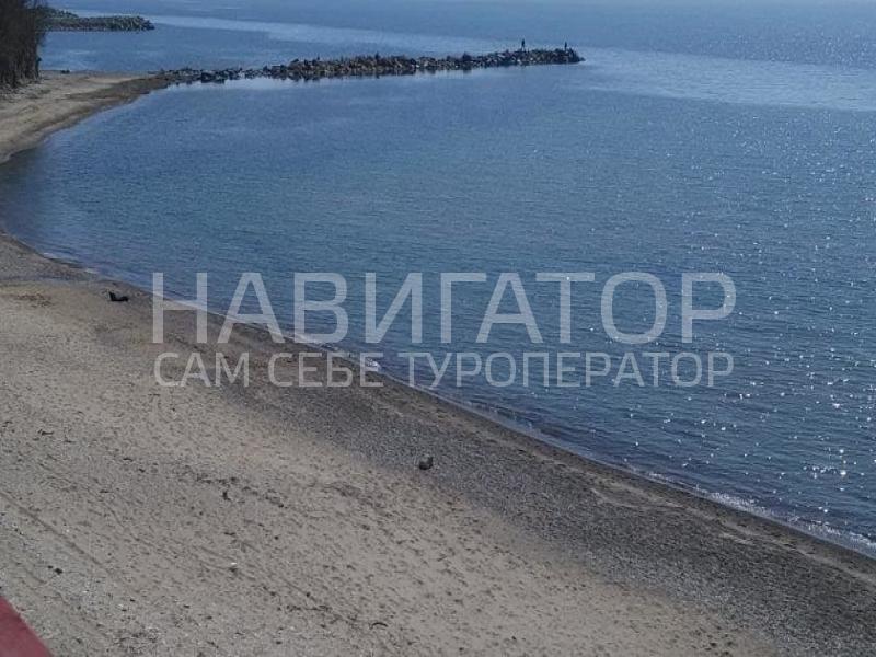 У АЛЬБЕРТА - гостевой дом в Джубга У АЛЬБЕРТА - гостевой дом в Джубга
