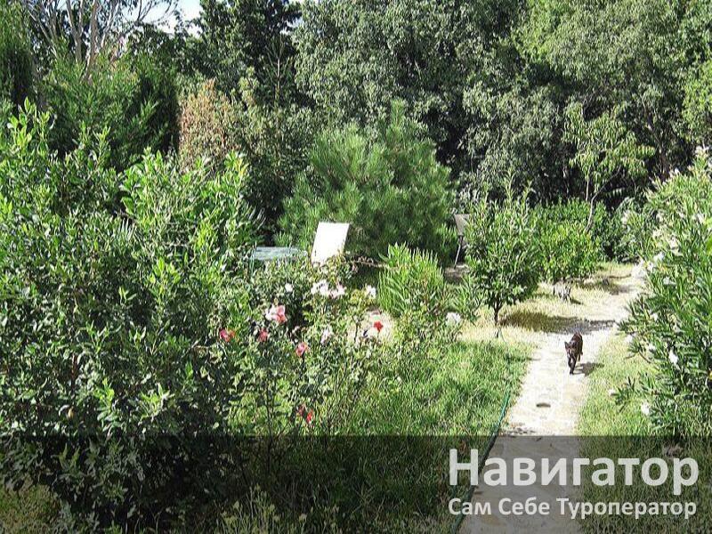 ЧЕРНОЕ МОРЕ - гостевой дом в Алупка ЧЕРНОЕ МОРЕ - гостевой дом в Алупка