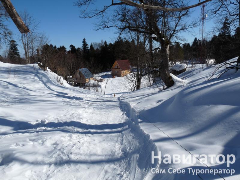 СОСНОВАЯ ТЕРРАСА- база отдыха в Автодорога Даховская - Лаго-Наки СОСНОВАЯ ТЕРРАСА- база отдыха в Автодорога Даховская - Лаго-Наки