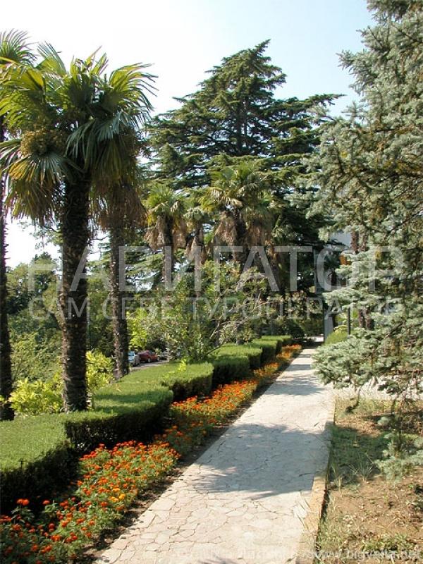 ДЮЛЬБЕР - санаторий в Ялта ДЮЛЬБЕР - санаторий в Ялта