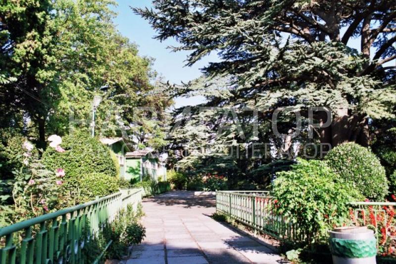 ЗАРЯ - пансионат в Ялта ЗАРЯ - пансионат в Ялта