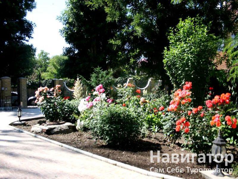 ОРХИДЕЯ - гостиница в Феодосия ОРХИДЕЯ - гостиница в Феодосия