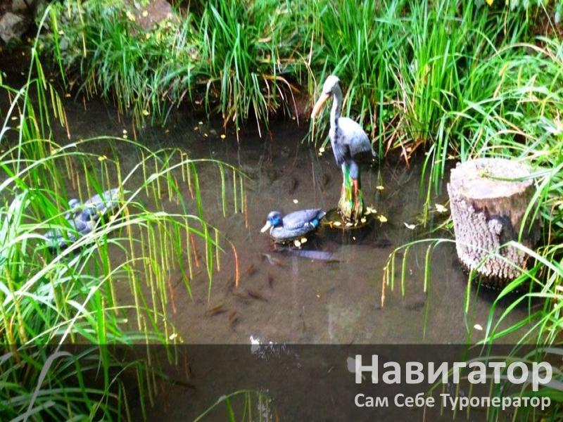 НАДЕЖДА - пансионат в Алупка НАДЕЖДА - пансионат в Алупка