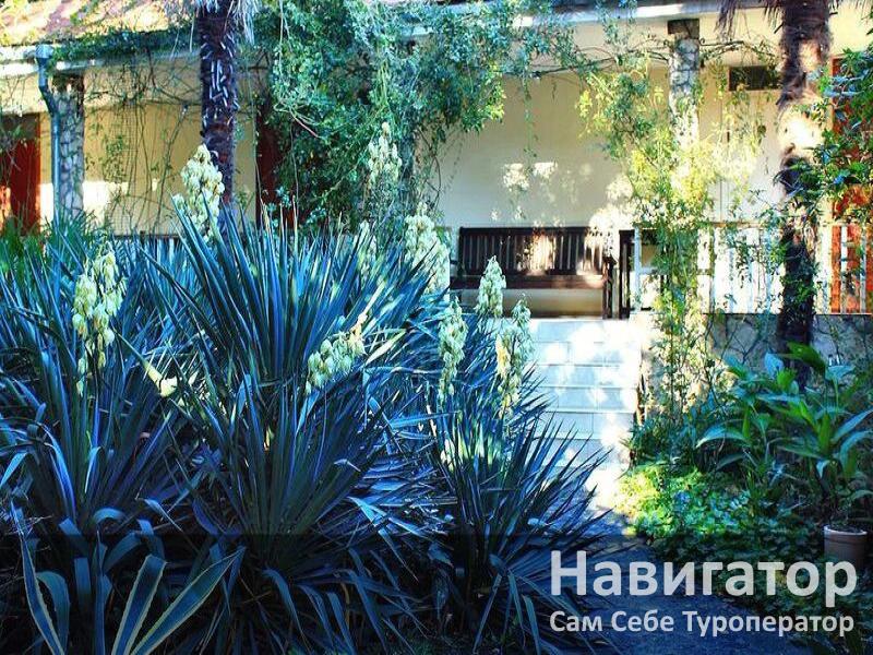 ЛЕТНИЙ ДВОРИК - пансионат в Алупка ЛЕТНИЙ ДВОРИК - пансионат в Алупка