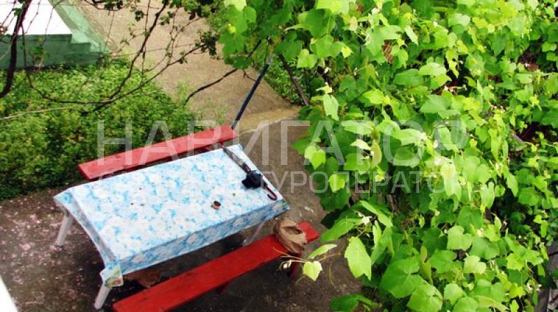 7182 - гостевой дом в Новый Афон 7182 - гостевой дом в Новый Афон