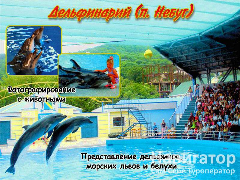 БУРЕВЕСТНИК - пансионат в Курортные поселки Лазаревского района БУРЕВЕСТНИК - пансионат в Курортные поселки Лазаревского района